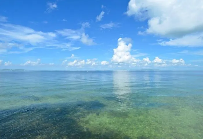 Little Bay Lower